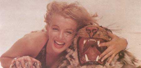 Marilyn with Tiger
